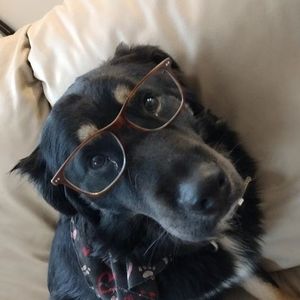 Meet your Posher, Kendra